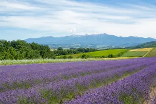 Hokkaido travel inspiration